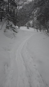 b015ab27.jpg