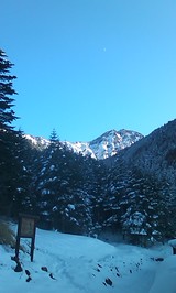bd221e5a.jpg