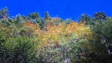 c28125f1.jpg