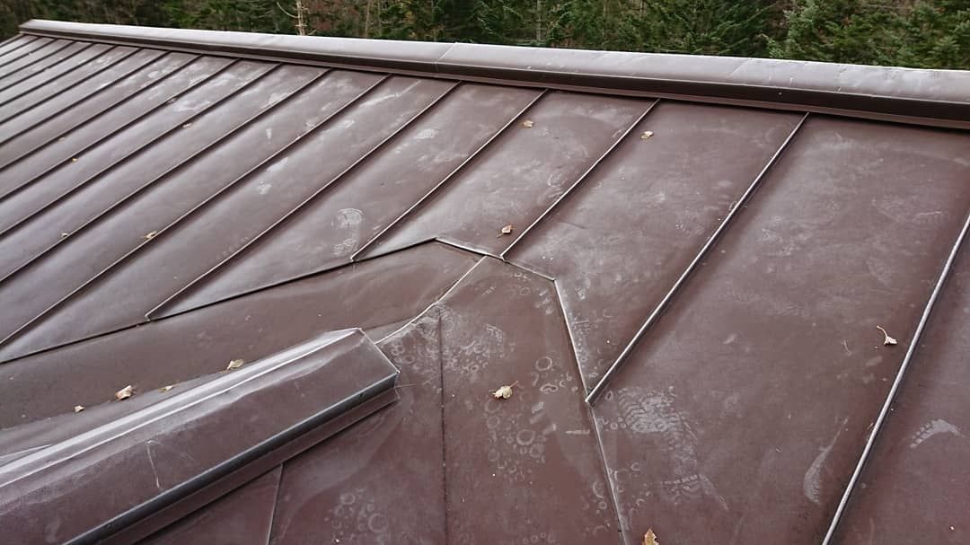 IMG_20181013_075932_562