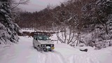d3341329.jpg