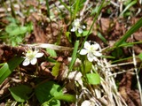 e7815d45.jpg