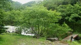 f07cbb35.jpg