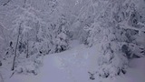 f7425597.jpg