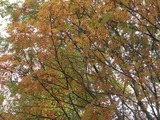 f8939781.jpg