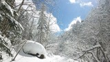 ff1a3750.jpg