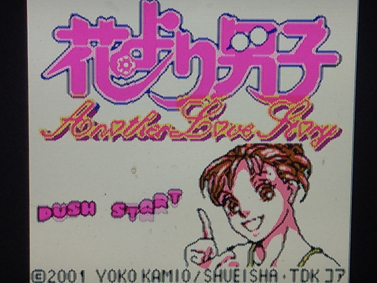 花より男子 ゲームボーイ Takelun Ravie 尻鯖 花より男子 ゲームボーイ Takelun Ravie 尻鯖
