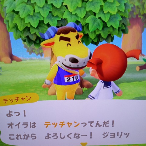 Takelun Ravie 尻鯖