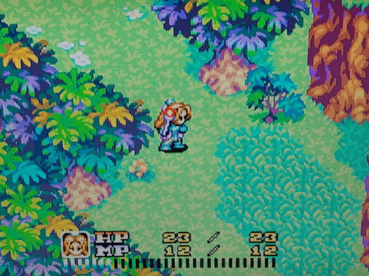 新約 聖剣伝説 Ff外伝 Gba Takelun Ravie 尻鯖 新約 聖剣伝説 Ff外伝 Gba Takelun Ravie 尻鯖