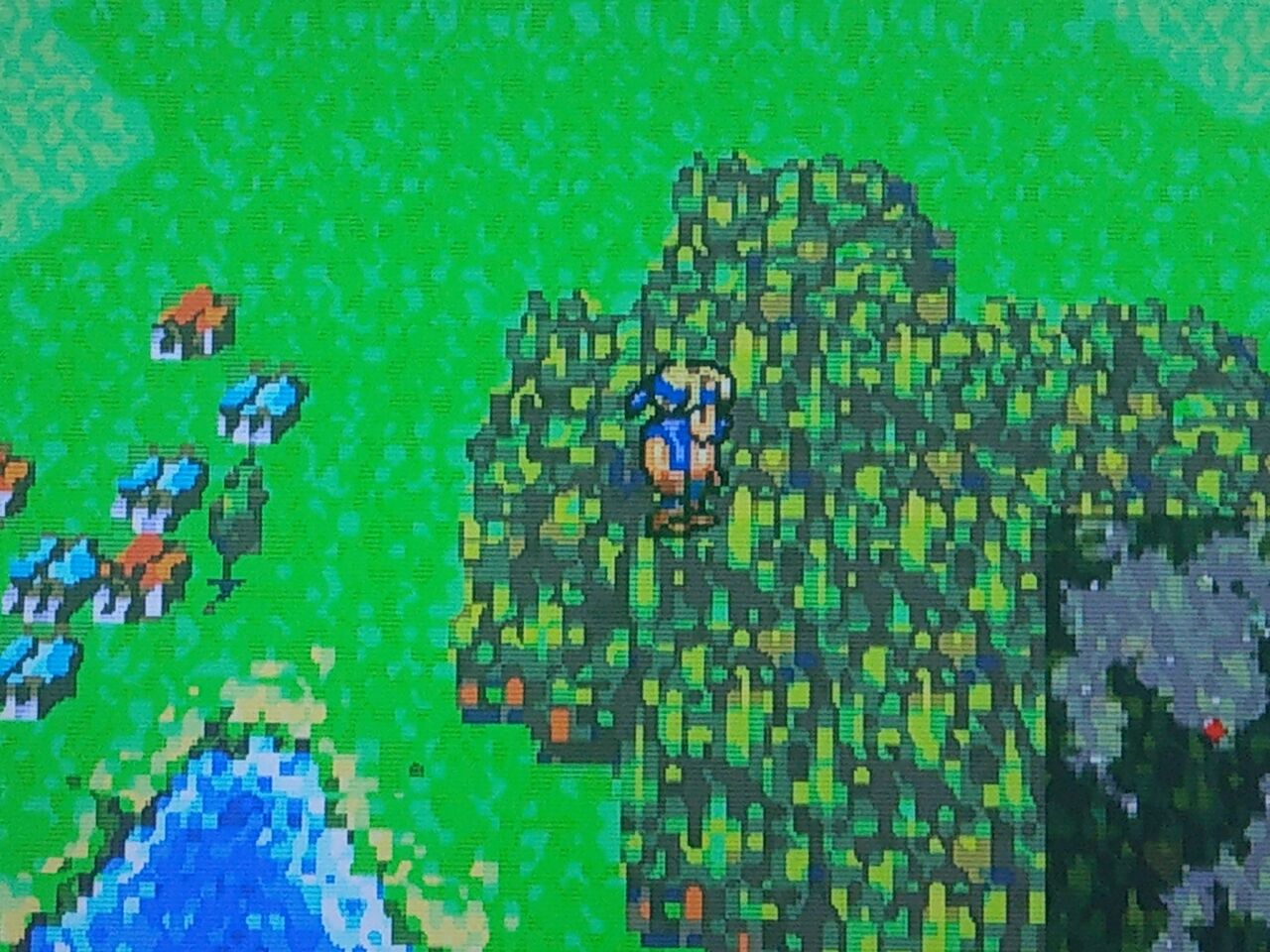 Ff6 Gba Takelun Ravie 尻鯖 Ff6 Gba Takelun Ravie 尻鯖