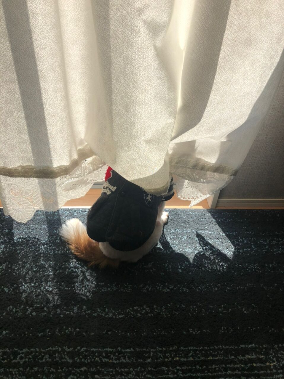 no title