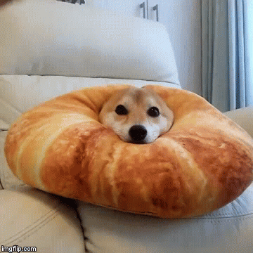画像 このgifかわいすぎワロタwwwwwwwwwwwwwwww 気になるニュースまとめっち 画像 このgifかわいすぎワロタwwwwwwwwwwwwwwww 気になるニュースまとめっち