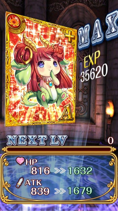 やんちゃな竜の子アニマ レベルMax