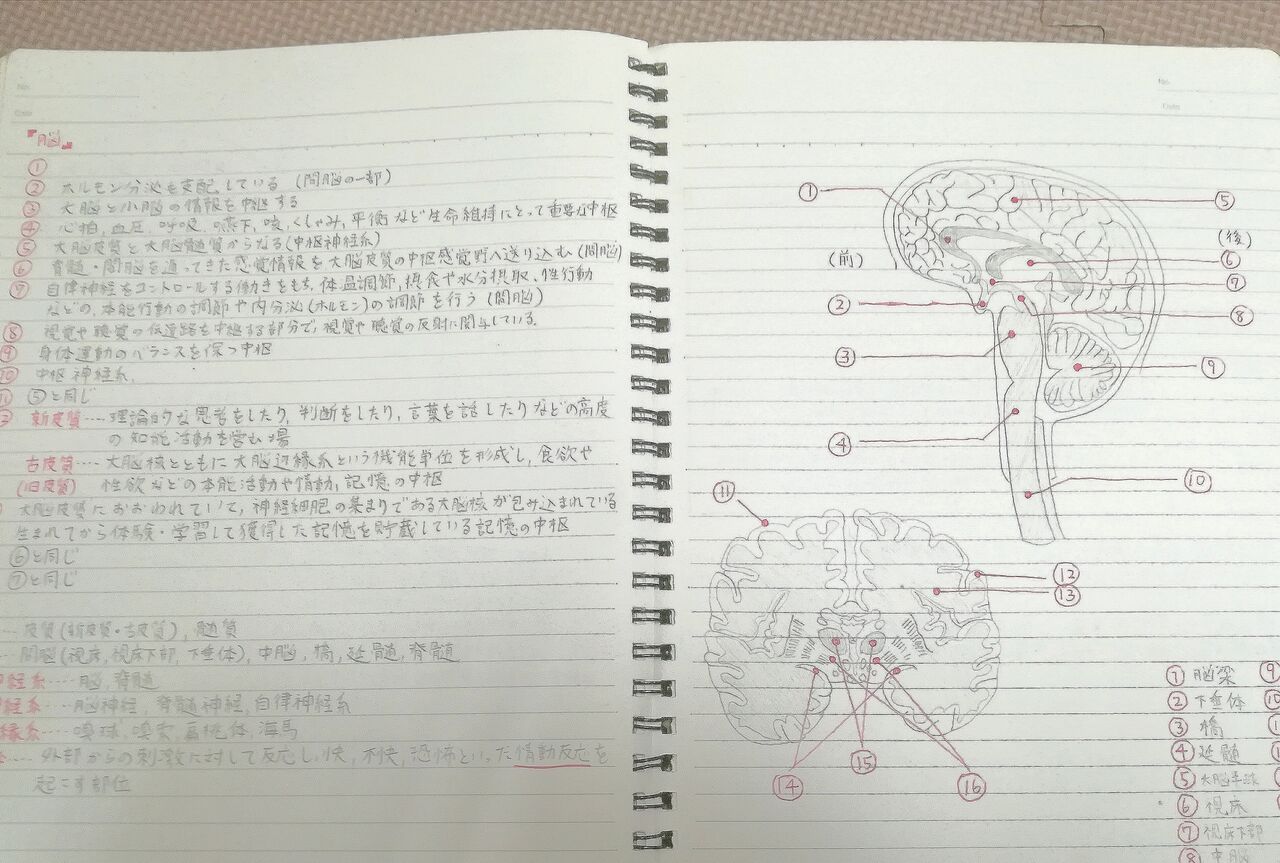 Aeaj アロマインストラクター試験 勉強法 合格者のノート公開します 資格取得までの勉強量 合格率 アロマであまやどりブログ Aeaj アロマインストラクター試験 勉強法 合格者のノート公開します 資格取得までの勉強量 合格率 アロマであまやどりブログ