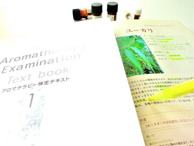 アロマテラピー検定はカンニングできます オンライン試験の正しいカンニングの仕方 合格基準を分析して分かったこと アロマであまやどりブログ