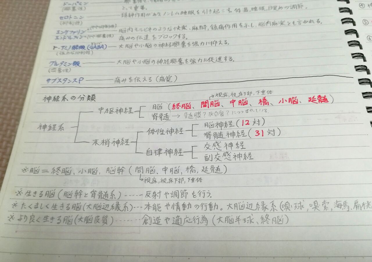 Aeaj アロマインストラクター試験 勉強法 合格者のノート公開します 資格取得までの勉強量 合格率 アロマであまやどりブログ Aeaj アロマインストラクター試験 勉強法 合格者のノート公開します 資格取得までの勉強量 合格率 アロマであまやどりブログ