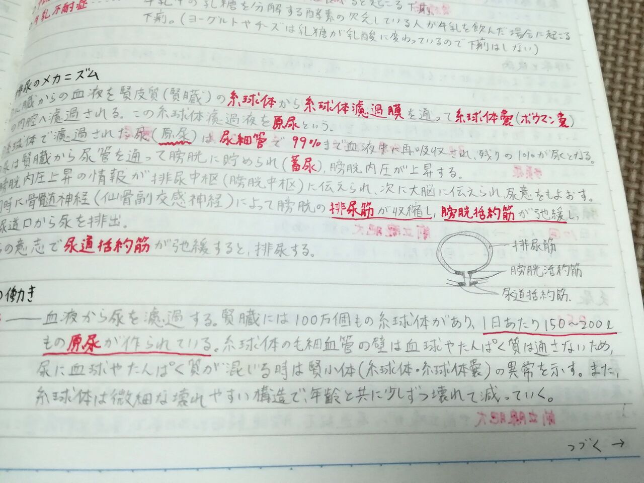 Aeaj アロマインストラクター試験 勉強法 合格者のノート公開します 資格取得までの勉強量 合格率 アロマであまやどりブログ Aeaj アロマインストラクター試験 勉強法 合格者のノート公開します 資格取得までの勉強量 合格率 アロマであまやどりブログ