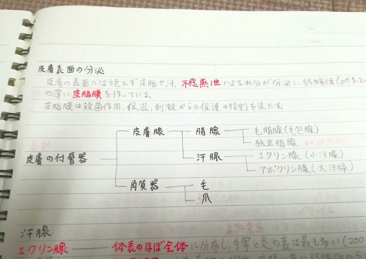Aeaj アロマインストラクター試験 勉強法 合格者のノート公開します 資格取得までの勉強量 合格率 アロマであまやどりブログ Aeaj アロマインストラクター試験 勉強法 合格者のノート公開します 資格取得までの勉強量 合格率 アロマであまやどりブログ