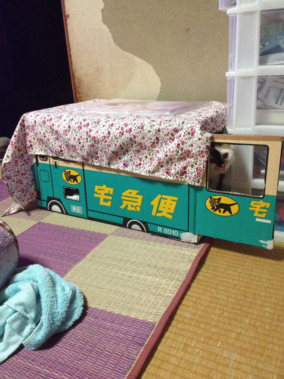 http://livedoor.blogimg.jp/akan2ch/imgs/1/5/15eb3e8e.jpg