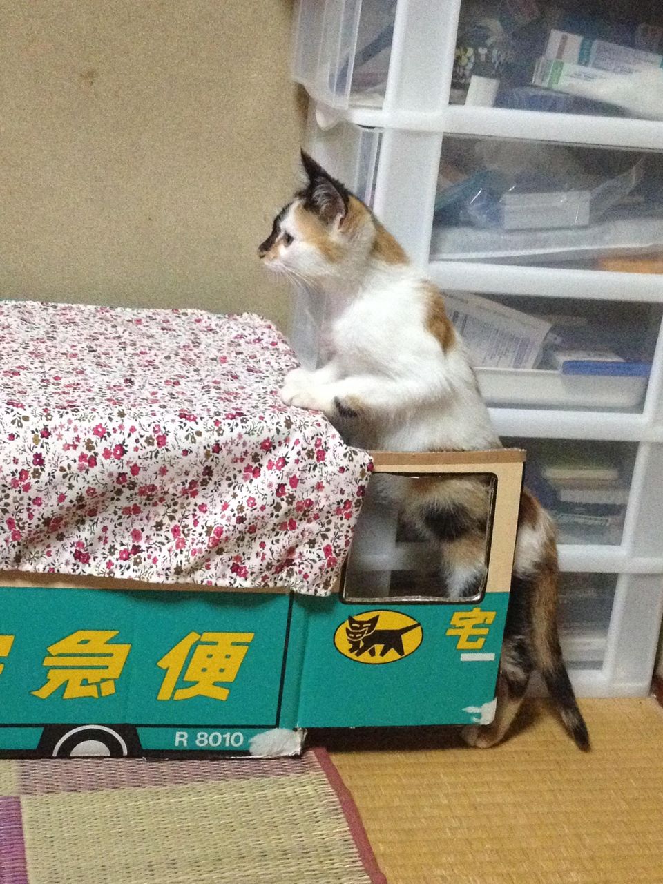 http://livedoor.blogimg.jp/akan2ch/imgs/9/4/94095d48.jpg