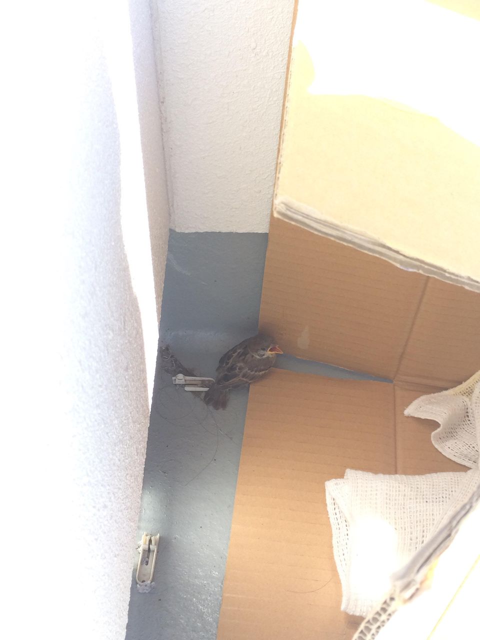 https://livedoor.blogimg.jp/akan2ch/imgs/c/4/c4dbc454.jpg