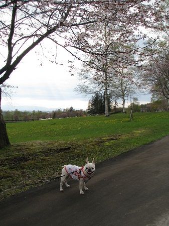 �����θ���