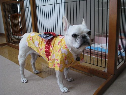 �Ե�����