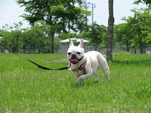 �뤯�Ƥ⸵��