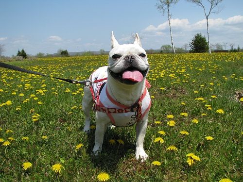 �����д�Ǥ�