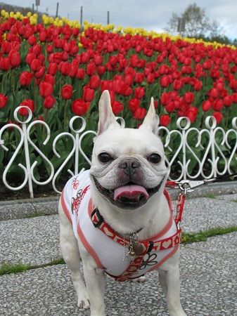 ���塼��å�