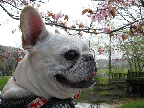 ���礳�äȺ�