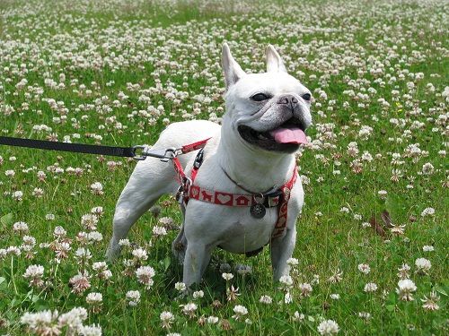 �����Ĥ᤯��