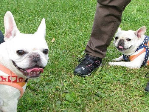 ��̯�ʵ�Υ��