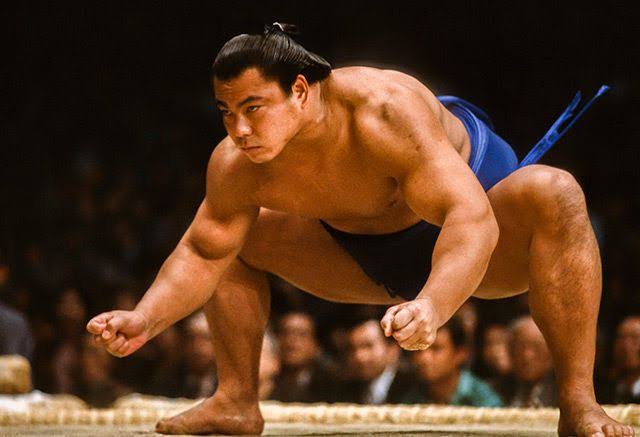 千代の富士 貴乃花 朝青龍 白鵬 全盛期で総当たりしたら一番強いのは すもにゅ