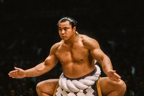 なんで千代の富士や大鵬みたいなイケメン力士っておらんくなったん すもにゅ なんで千代の富士や大鵬みたいなイケメン力士っておらんくなったん すもにゅ