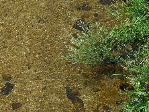 P1100178