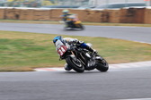 SBR_2008