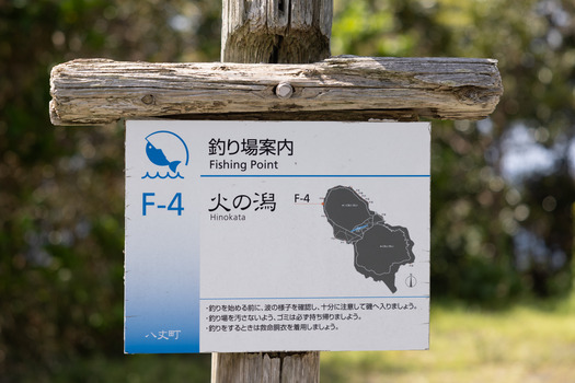 SBR_7339
