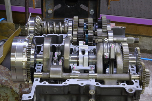 SBR_3890