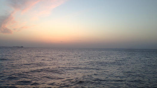 iphone_0880