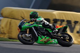 SBR_0653