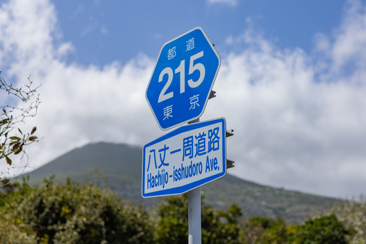 SBR_7313