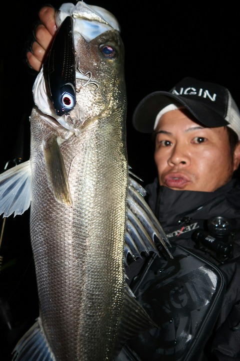 20181012204015_IMG_0182