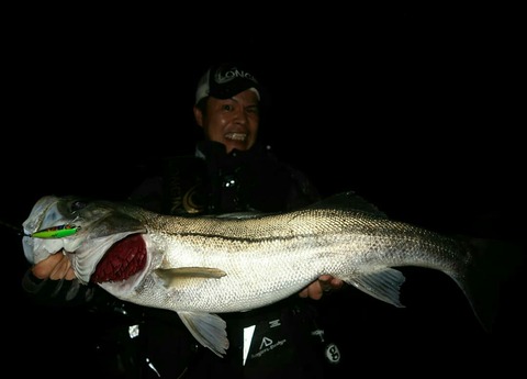 IMG_20190629_110400_424