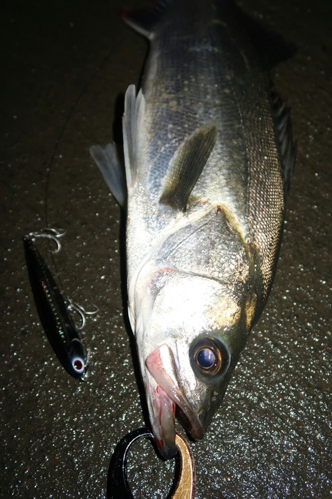 20190702215015_IMG_0837