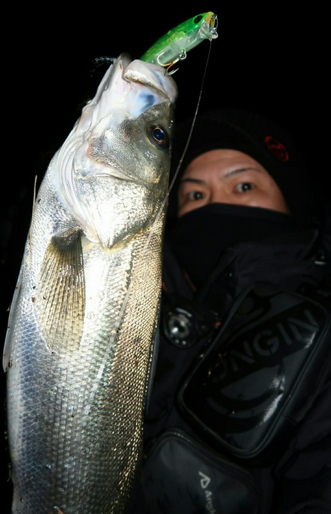 20190125183513_IMG_0593-1