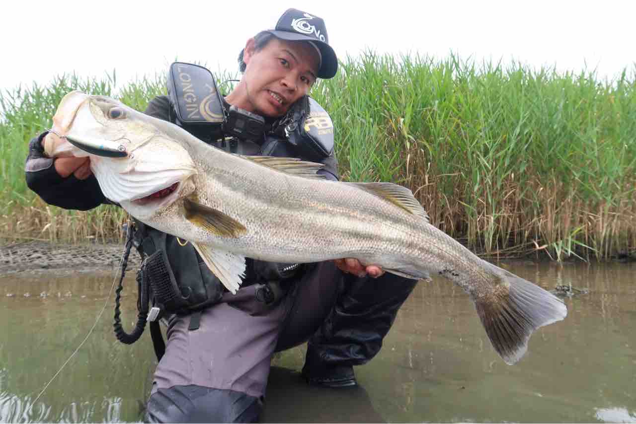 那珂川 シーバス 那珂川 茨城シーバス釣りポイントを紹介 涸沼川との合流部は釣果実績大のスポット 那珂川 シーバス 那珂川 茨城シーバス釣りポイントを紹介 涸沼川との合流部は釣果実績大のスポット