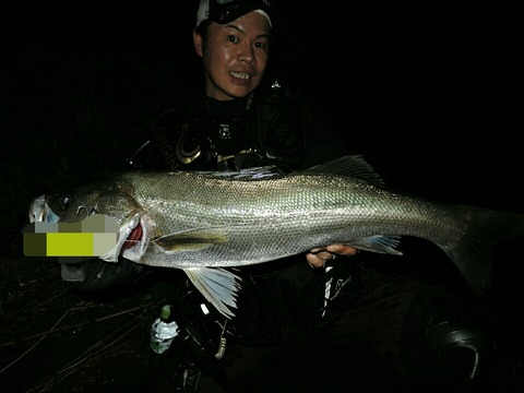 Point Blur_20180706_011827