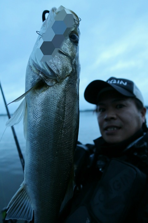 Point Blur_20190719_065247