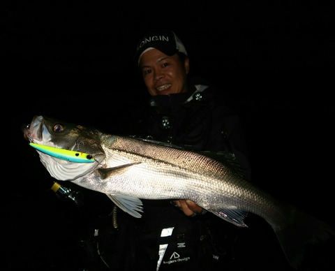 20180912231317_IMG_0067-1